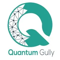Quantum Gully