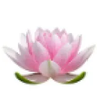 Infinite Wellness Center, LLC Infinite Wellness Center, LLC