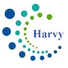 Harvy IT Services Pvt Ltd Harvy IT Services Pvt Ltd