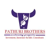 Pathuri Brothers Financial Services