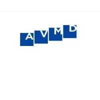 AVM DeMars CPAs, LLP