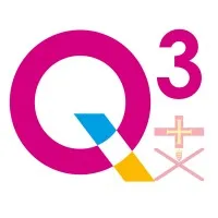 Q3 Services (CI) Ltd