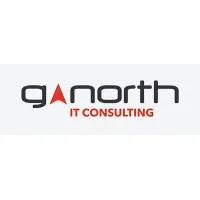 Great Northern Consulting, LLC Great Northern Consulting, LLC
