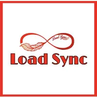 LOAD SYNC INC LOAD SYNC INC