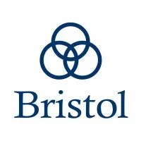 The Bristol Group PLLC