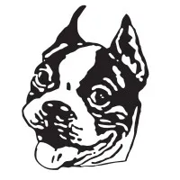 Bellows Falls Union High