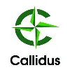 Callidus Consulting (MENA)