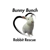 Bunny Bunch Rabbit Rescue