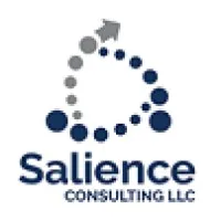 Salience Consulting LLC