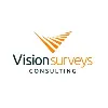 Vision Surveys Consulting