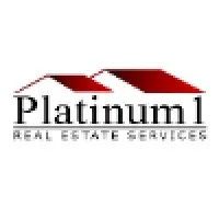 Platinum1 Corp