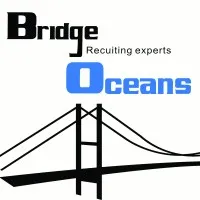 BridgeOceans Consulting