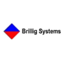 Brillig Systems