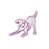 Woofs Upon a Walk
