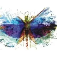 Sandbee Digital