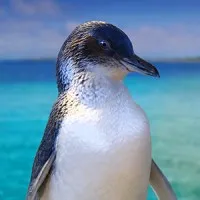 Perth Wildlife Encounters