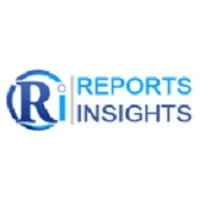 Reportsinsights Pvt Ltd