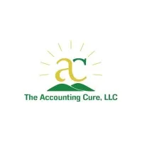 The Accounting Cure LLC