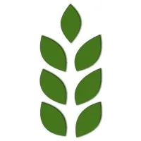 PT Meraki Lestari Indonesia