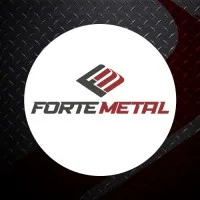 FORTE METAL SERVIÇOS INDUSTRIAIS LTDA FORTE METAL SERVIÇOS INDUSTRIAIS LTDA