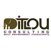 Ditlou Consulting 
