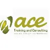 ACE Training and Consulting