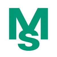 MS Ultrasonic Technology Group