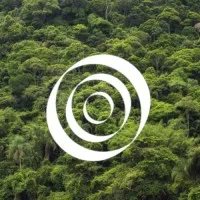 Amazon Investor Coalition
