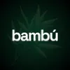 Bambú Solutions | Link Building & SEO Bambú Solutions | Link Building & SEO