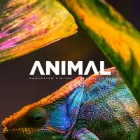 Animal Marketing Digital