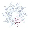 Synesis Capital Synesis Capital