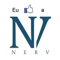 Nerv informatica Ltda
