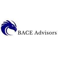 BACE ADVISORS