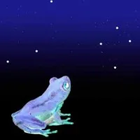 Frogs and Stars