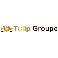 Tulip Groupe