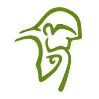Rodin Business Solutions