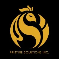 Pristine Solutions, Incorporation