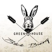 Black Bunny