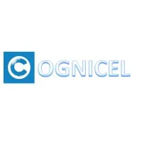 Cognicel Consultancy Services Pvt Ltd