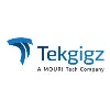 Tek Gigz LLC. Tek Gigz LLC.