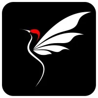 CloudFly Digital Agency