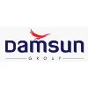 Damsun Group Damsun Group