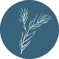 Pinyon Public Affairs Pinyon Public Affairs