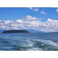 ETHAN SIEGEL, PSY.D.