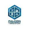 Falcon Ingenieria Falcon Ingenieria