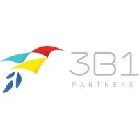 3B1 Partners LLC