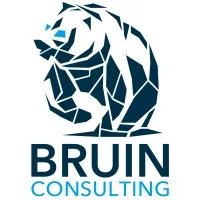 Bruin Consulting Bruin Consulting