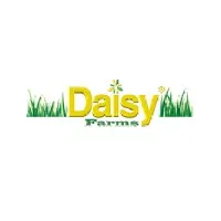 Daisy Farms - Texas