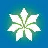 Rainbow Financial Services (ARN-119069)