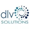 DLV Solutions DLV Solutions